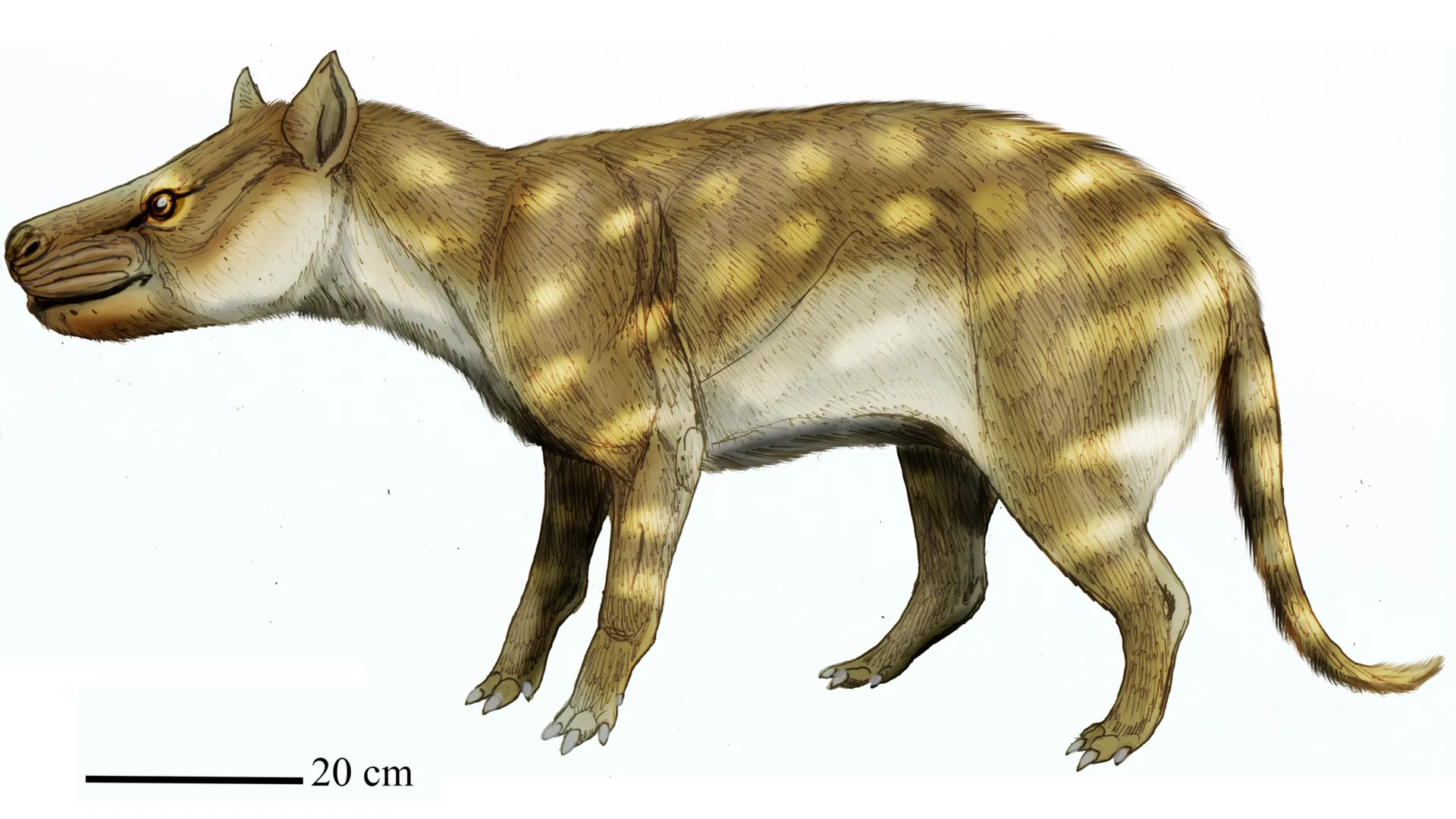 Predator Survived Global Warming by Eating Bones